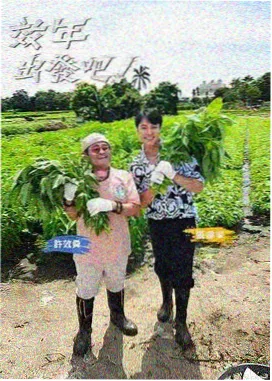 户外旅行真人秀